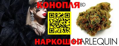прущие грибы Краснодар