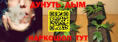 прущие грибы Краснодар