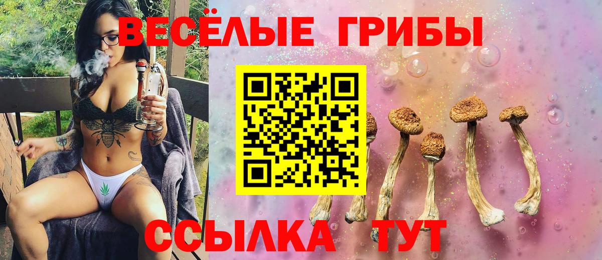 Казань  Галлюциногенные грибы мухоморы  Вход с VPN 