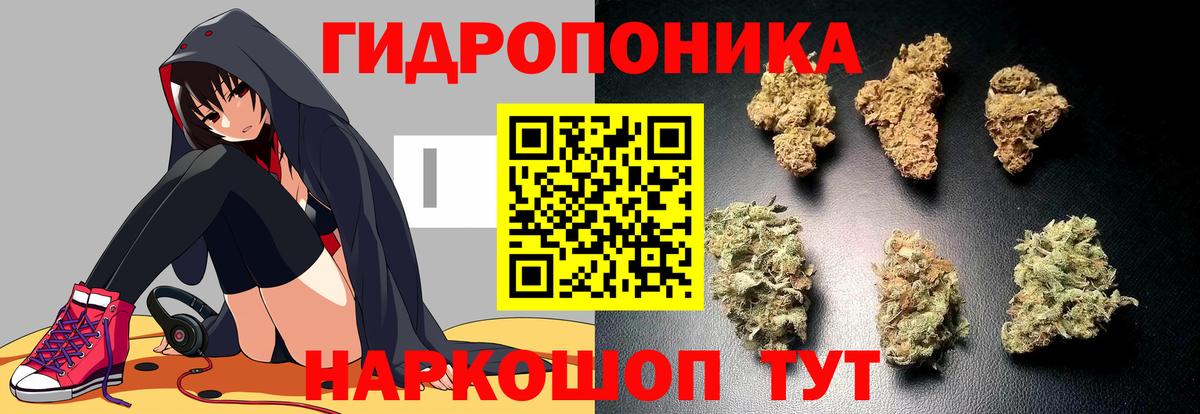 Казань  Конопля THC 21%  Каннабис конопля  Бошки марихуана AK-47  Вход с VPN 
